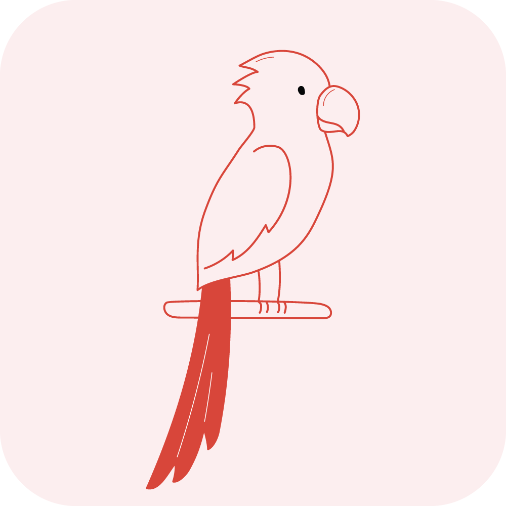 Category