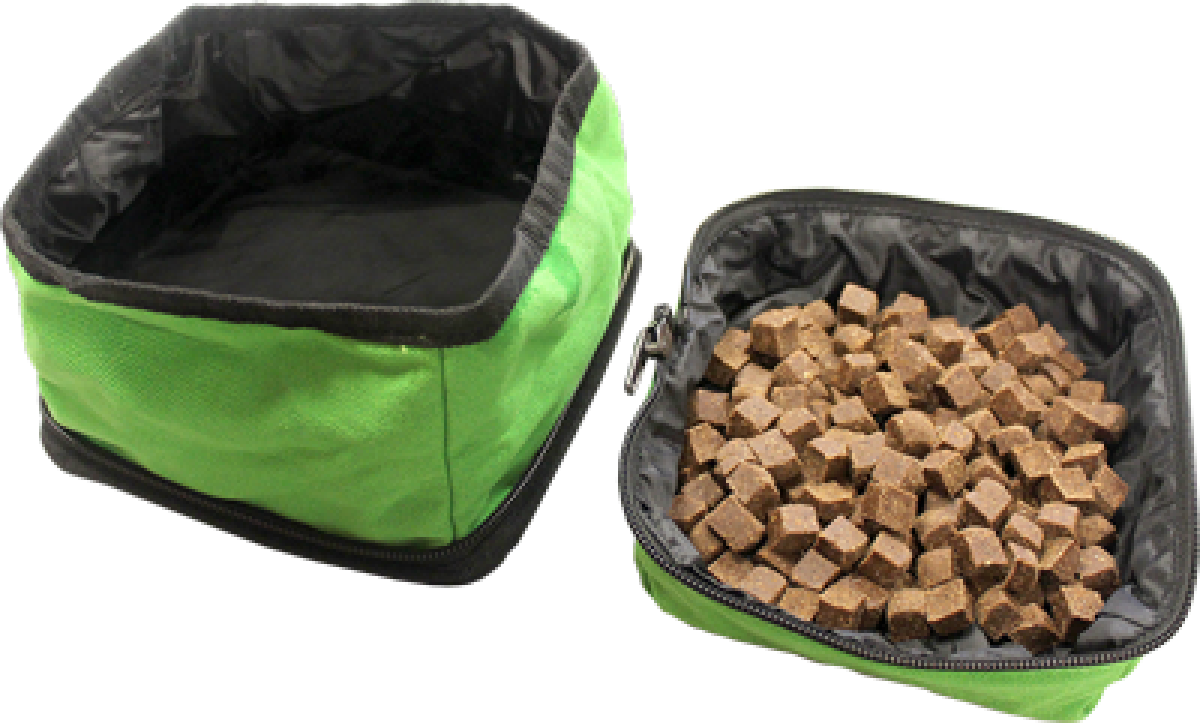 alcott-Explorer duo bowl - Green1.png