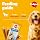 Pedigree Dentastix Large Breed Dog Chews 7PCS3.jpg