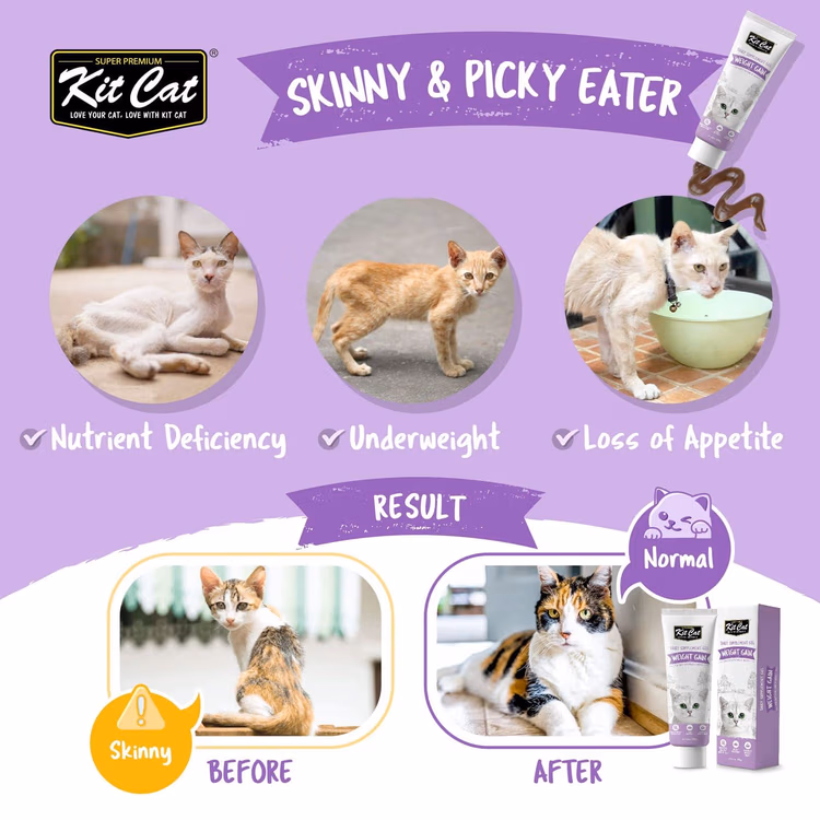 Kit Cat Daily Supplement Gel Weight Gain Cat & Kitten 120g1.avif