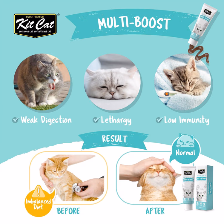 Kit Cat Daily Supplement Gel Multi-Vitamin Cat & Kitten 120g2.avif