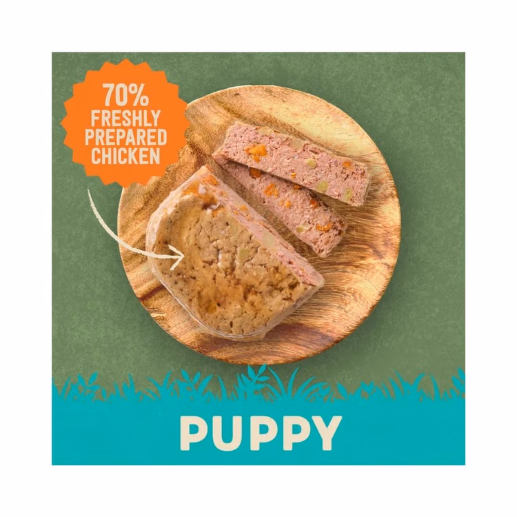 Harringtons Chicken & Potato Grain Free Wet Puppy Food 380g1.avif