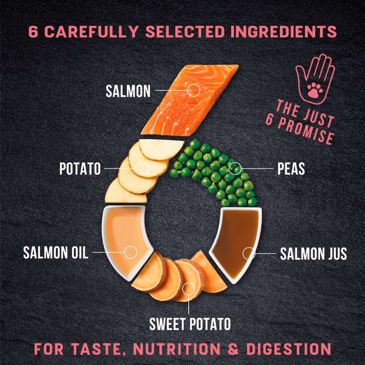 Harringtons Just 6 Salmon Grain Free Adult Dry Dog Food.avif