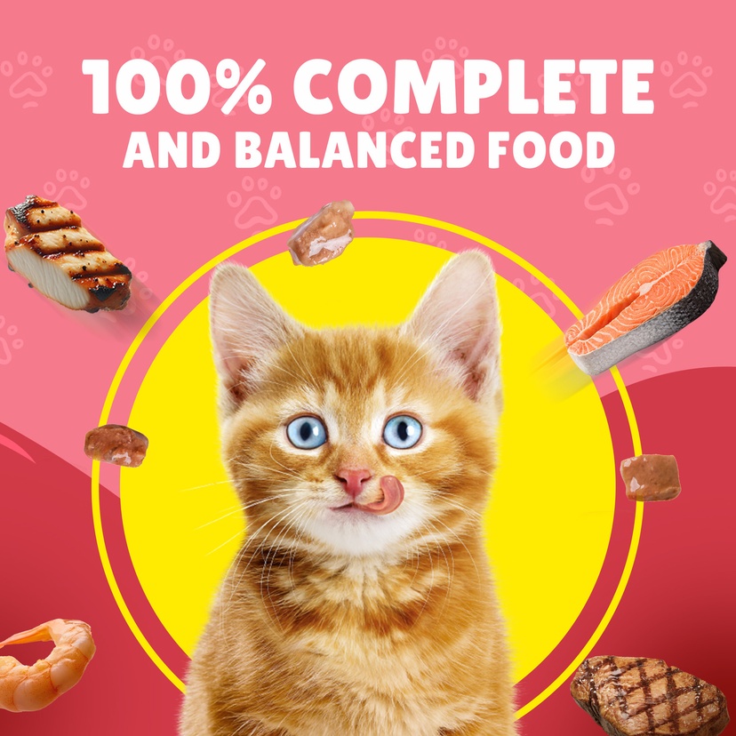Purina Friskies Junior Chicken In Gravy Wet Cat Food Pouch 85 g3.jpg