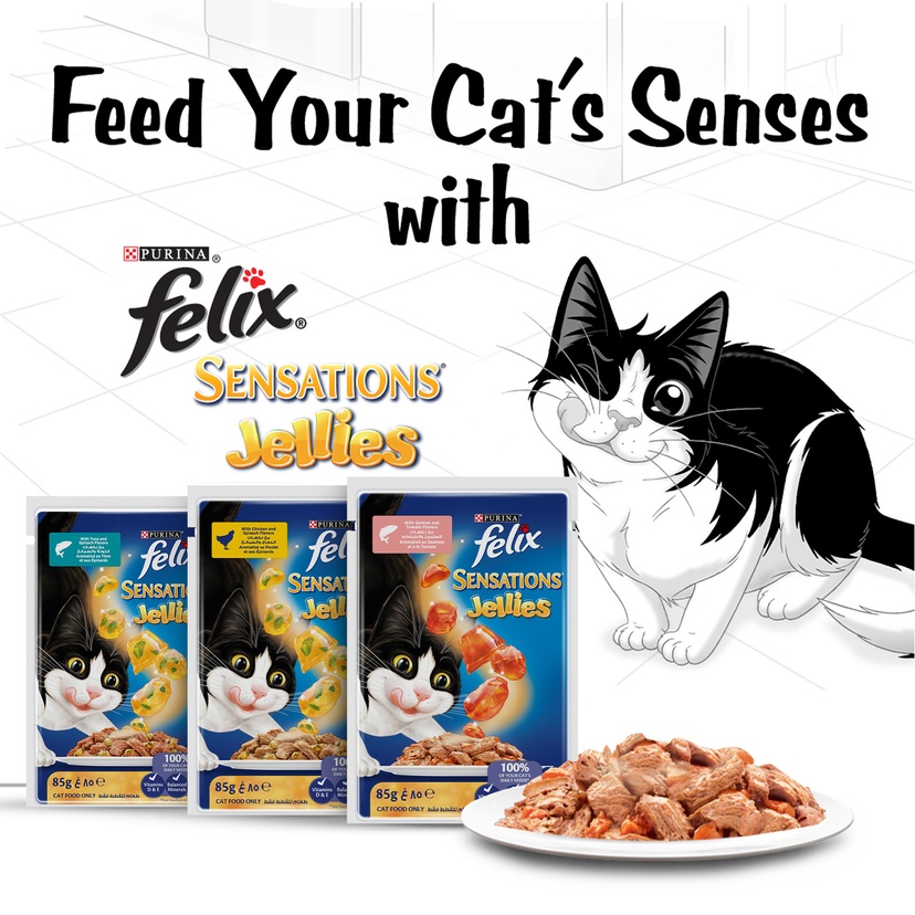 Purina Felix Sensations Jellies With Salmon And Tomato Flavors Cat Food 85 g3.jpg